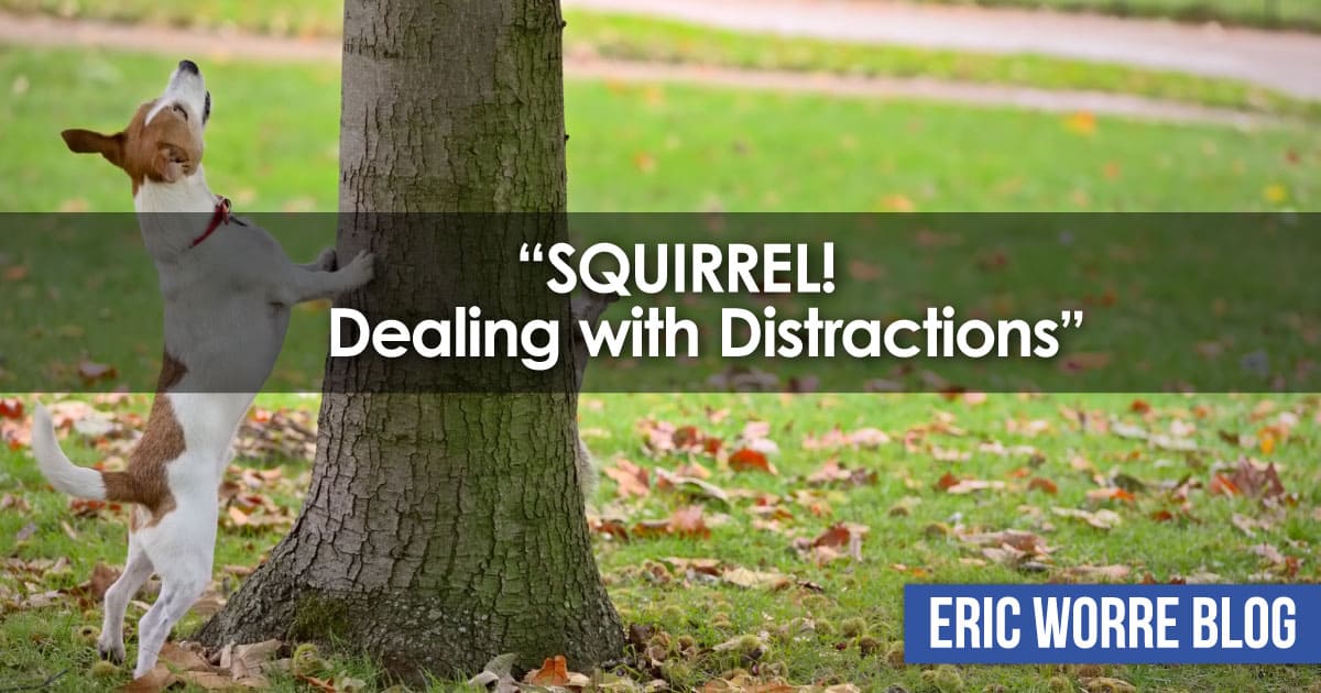 Squirrel Dealing with Distractions
